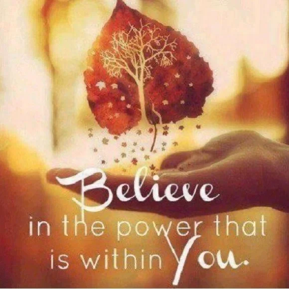 Coldwater Creek Velvet Vest — XL — EUC - Picture 6 of 7